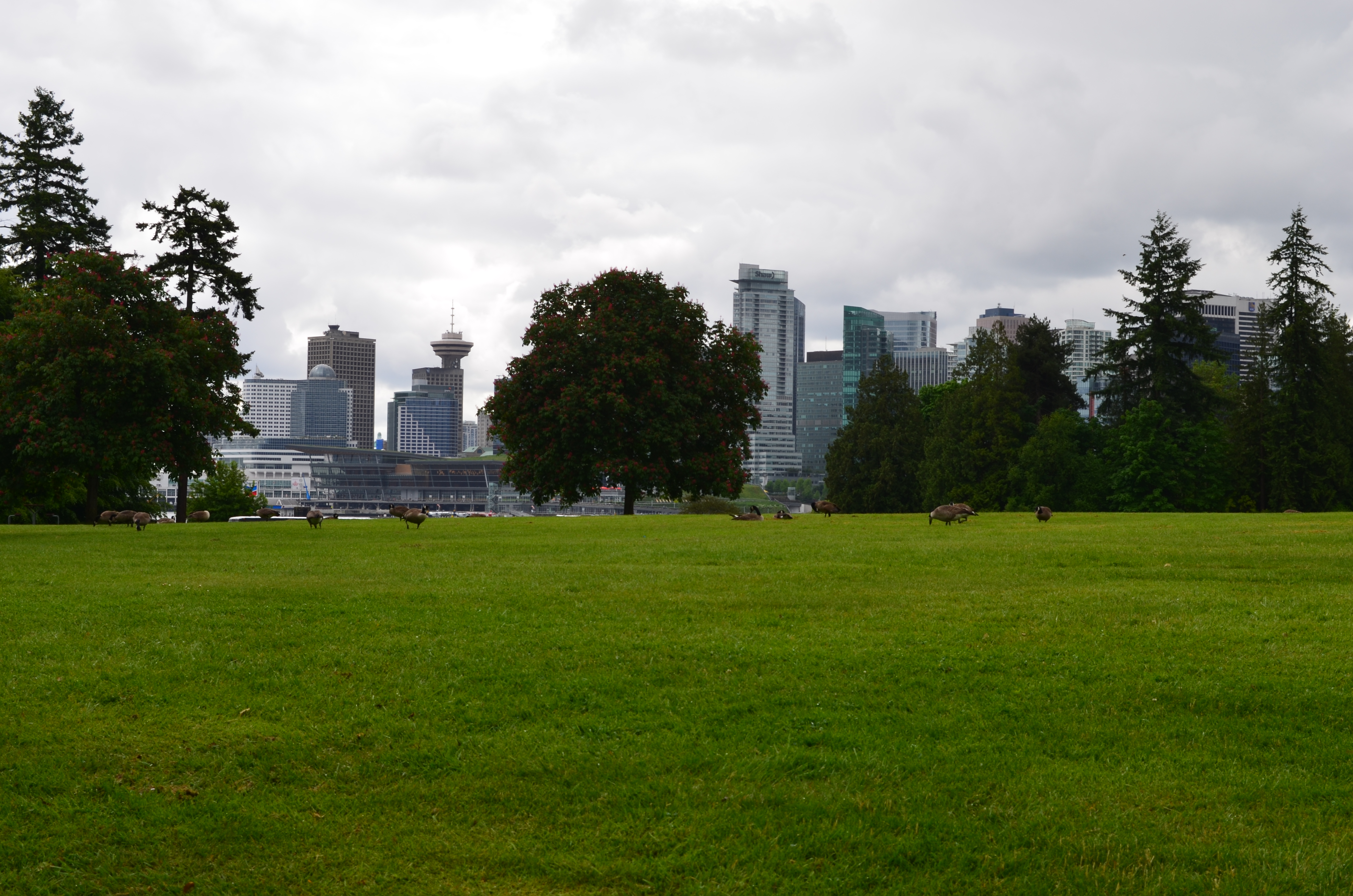 ./2017/08 - Alaska Cruise/13 - Vancouver/DSC_0656.JPG